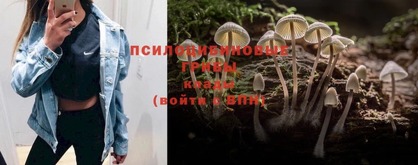 MESCALINE Абинск