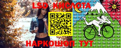 СК Тверь