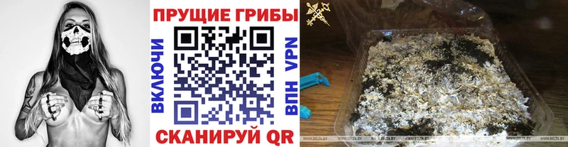 Псилоцибиновые грибы MAGIC MUSHROOMS  hydra зеркало  Нижнекамск 