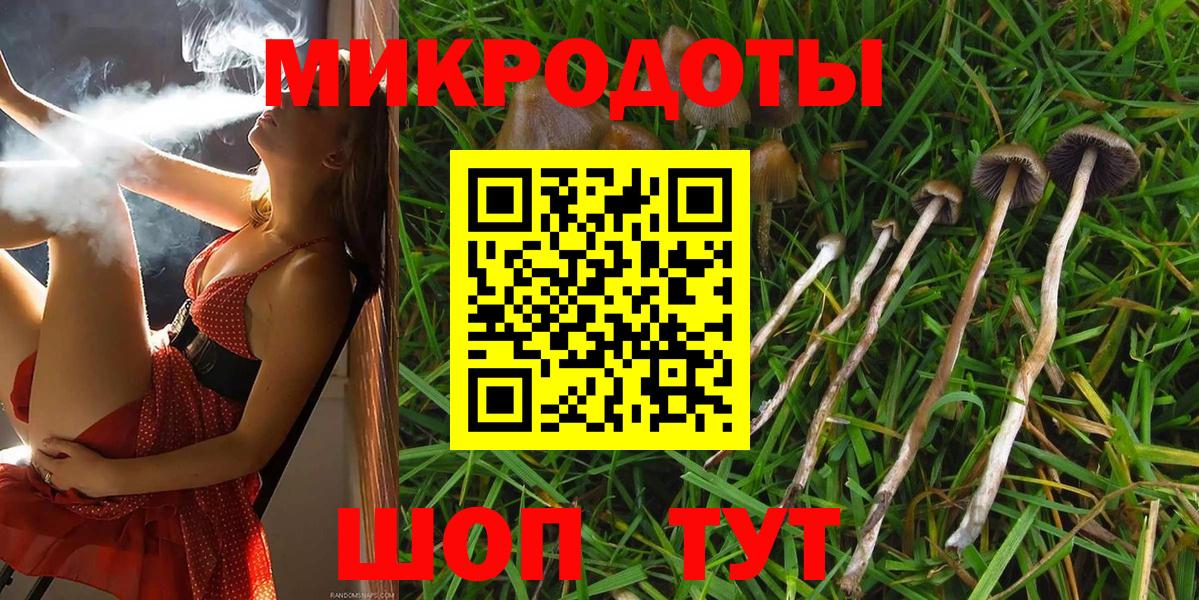 Галлюциногенные грибы мицелий Нижнекамск